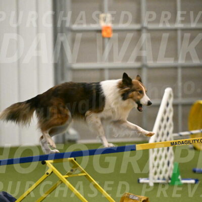 Timber-Maggie-Paskawych-02508