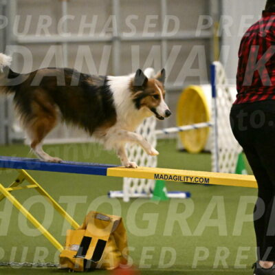 Timber-Maggie-Paskawych-02509