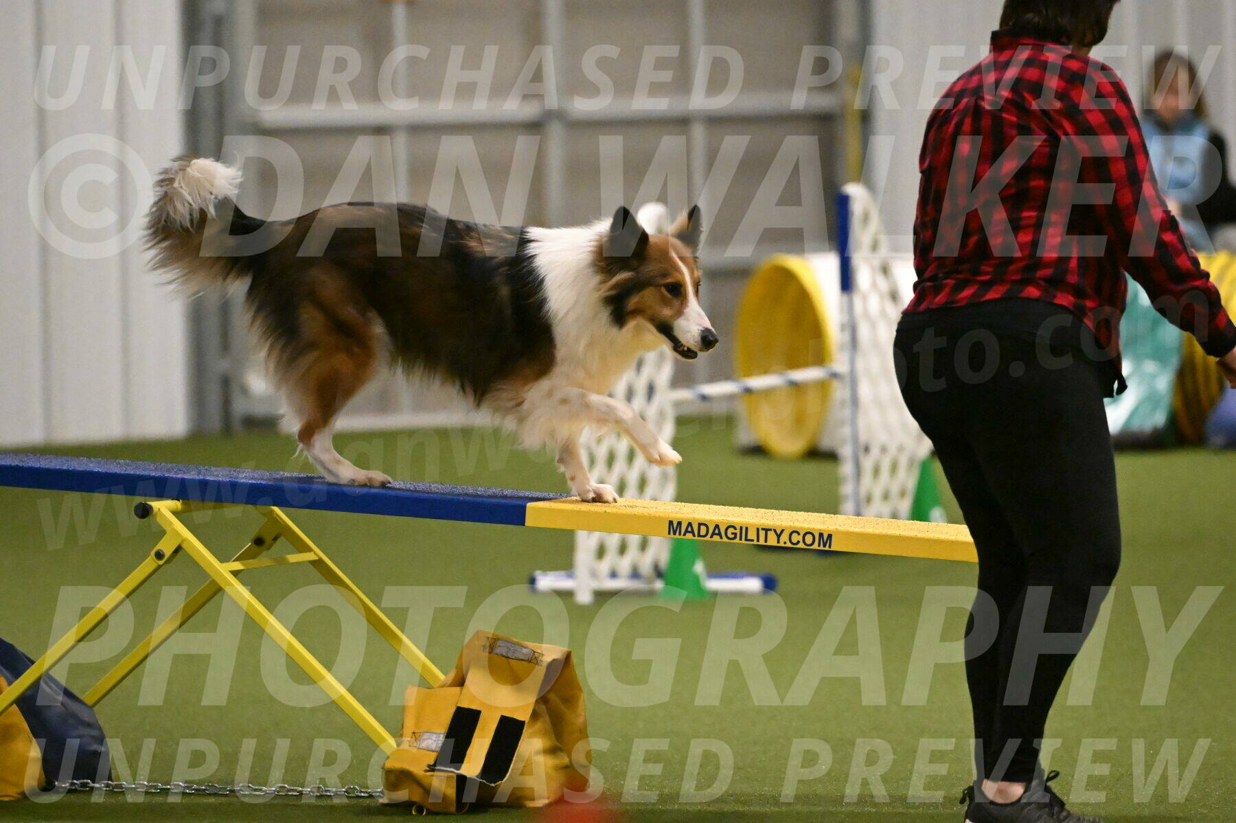 Timber-Maggie-Paskawych-02509