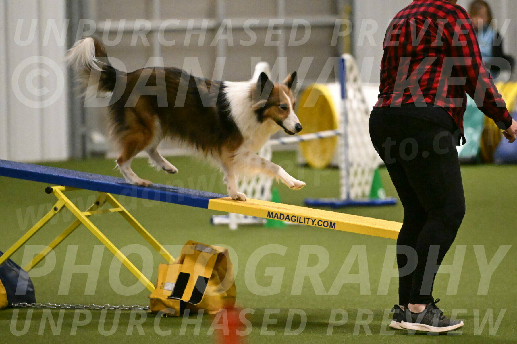 Timber-Maggie-Paskawych-02510