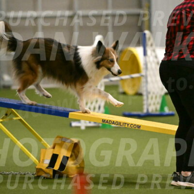 Timber-Maggie-Paskawych-02510