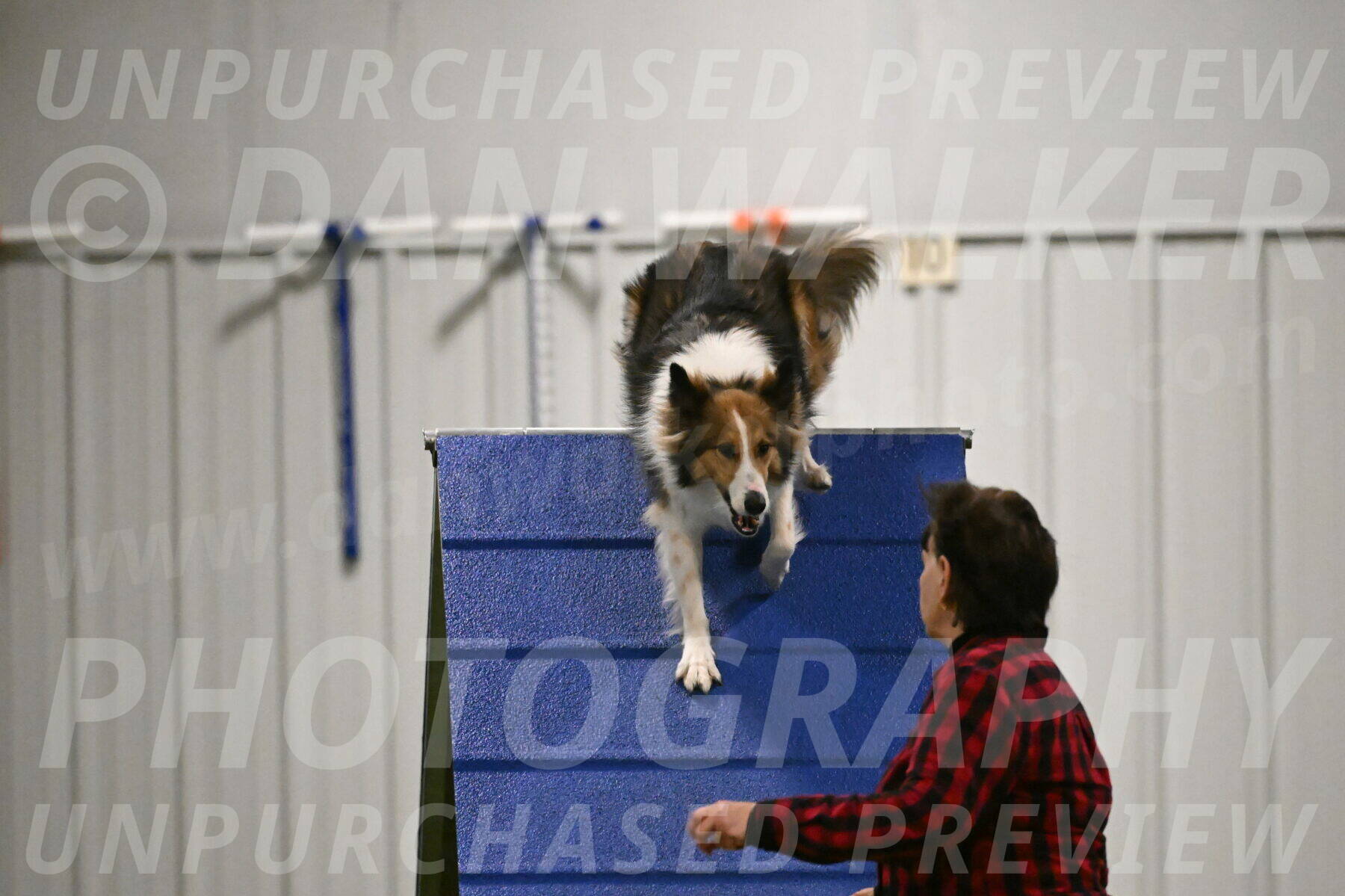 Timber-Maggie-Paskawych-02511