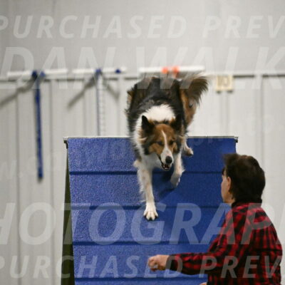 Timber-Maggie-Paskawych-02511