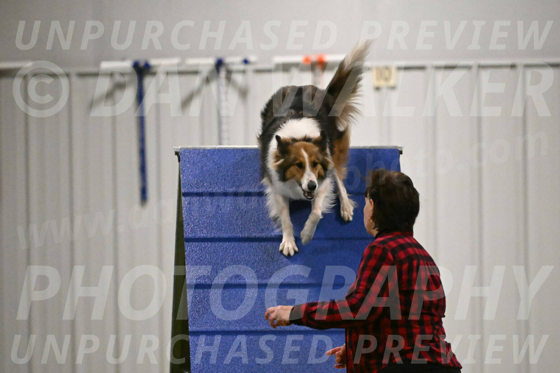 Timber-Maggie-Paskawych-02512