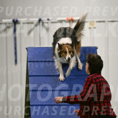 Timber-Maggie-Paskawych-02512