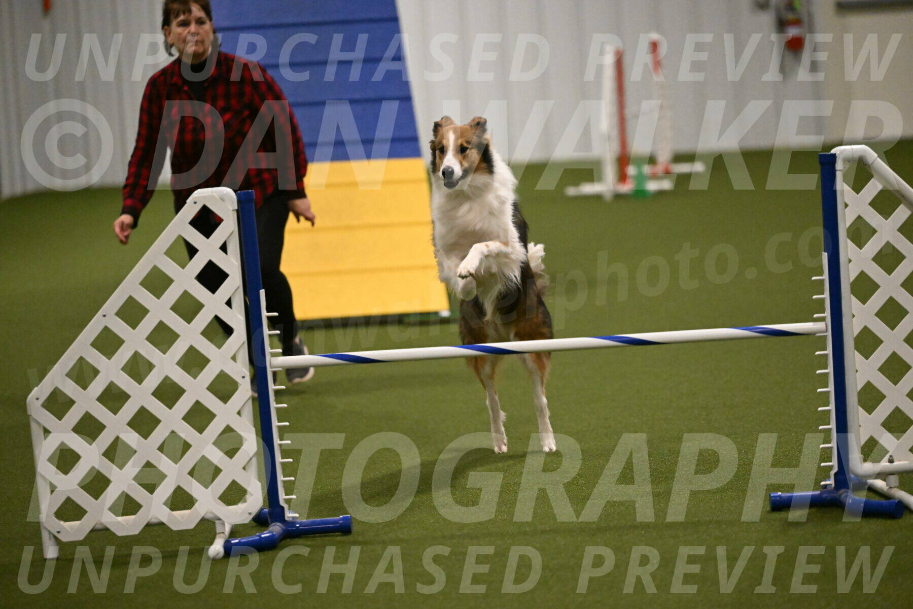 Timber-Maggie-Paskawych-02513