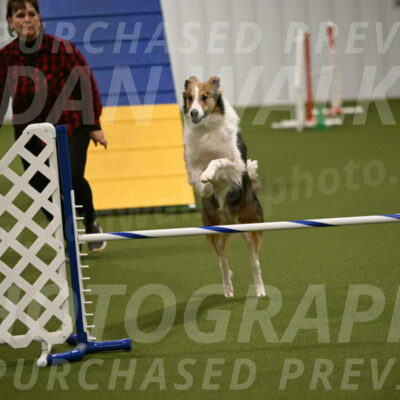 Timber-Maggie-Paskawych-02513