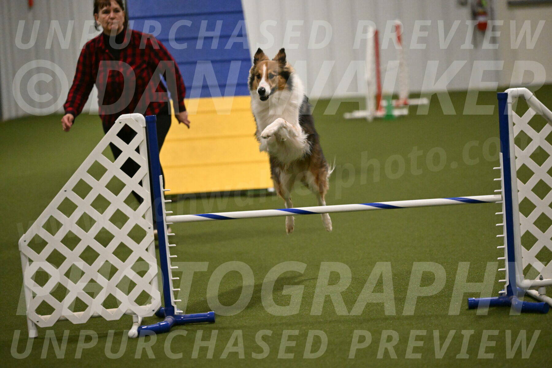 Timber-Maggie-Paskawych-02514