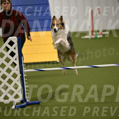 Timber-Maggie-Paskawych-02514