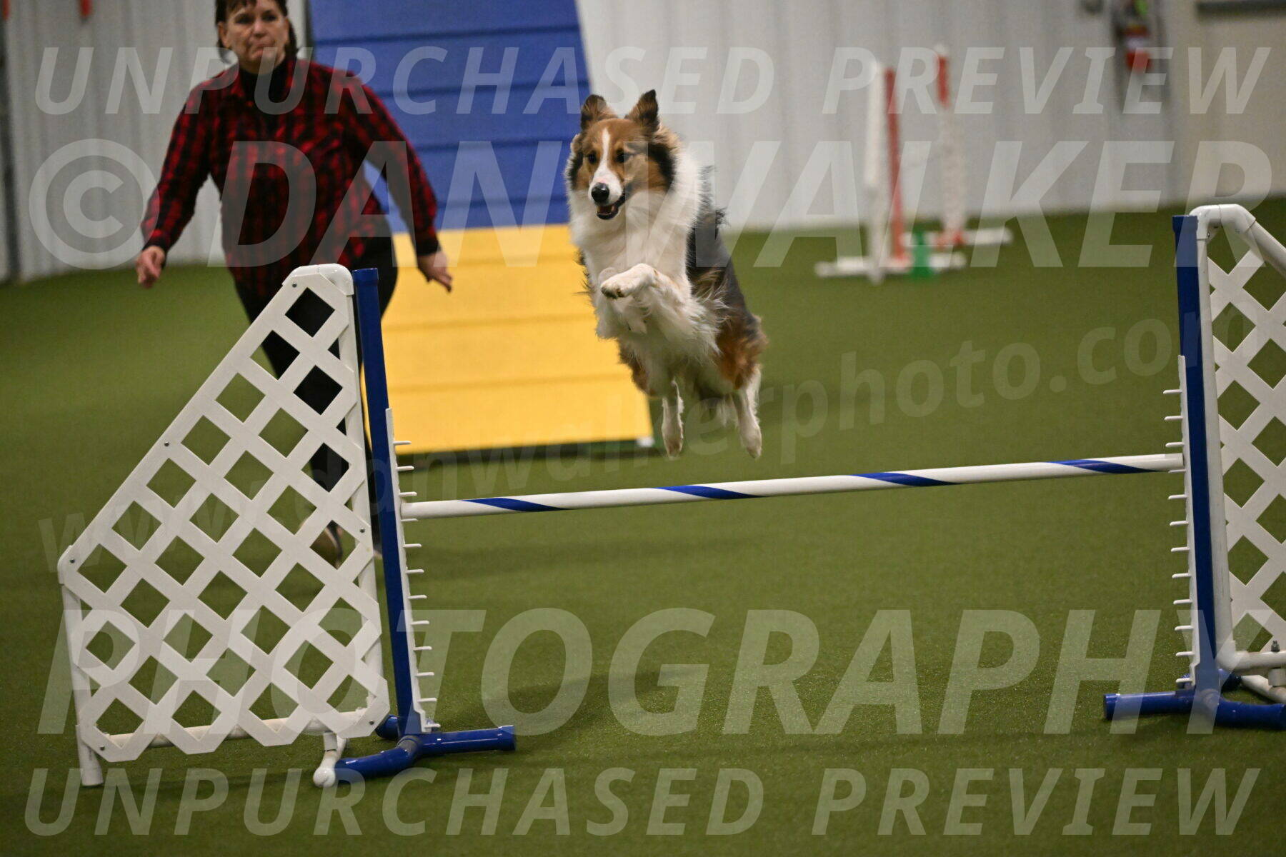 Timber-Maggie-Paskawych-02515