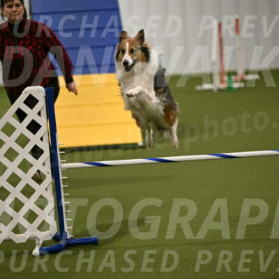 Timber-Maggie-Paskawych-02515