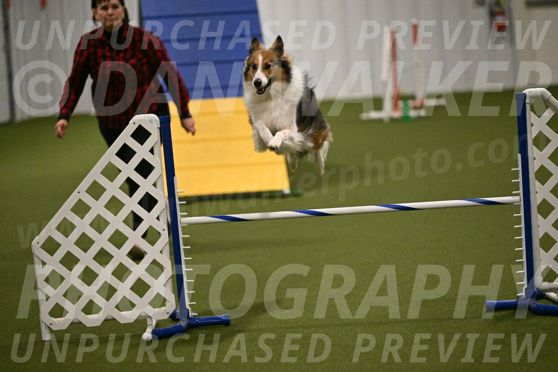 Timber-Maggie-Paskawych-02516