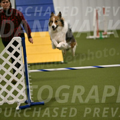 Timber-Maggie-Paskawych-02516