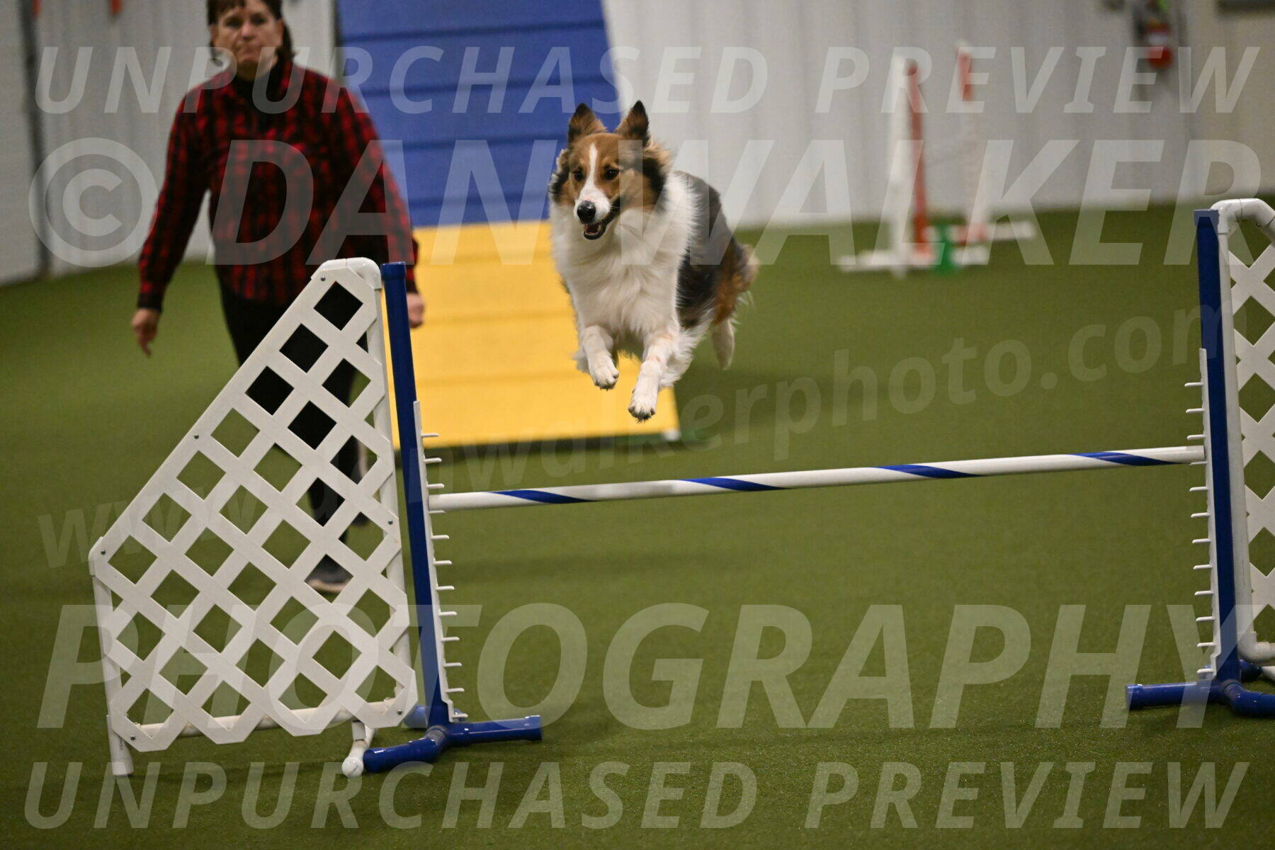 Timber-Maggie-Paskawych-02517