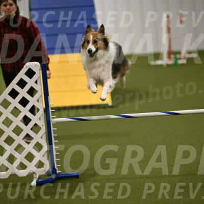 Timber-Maggie-Paskawych-02517