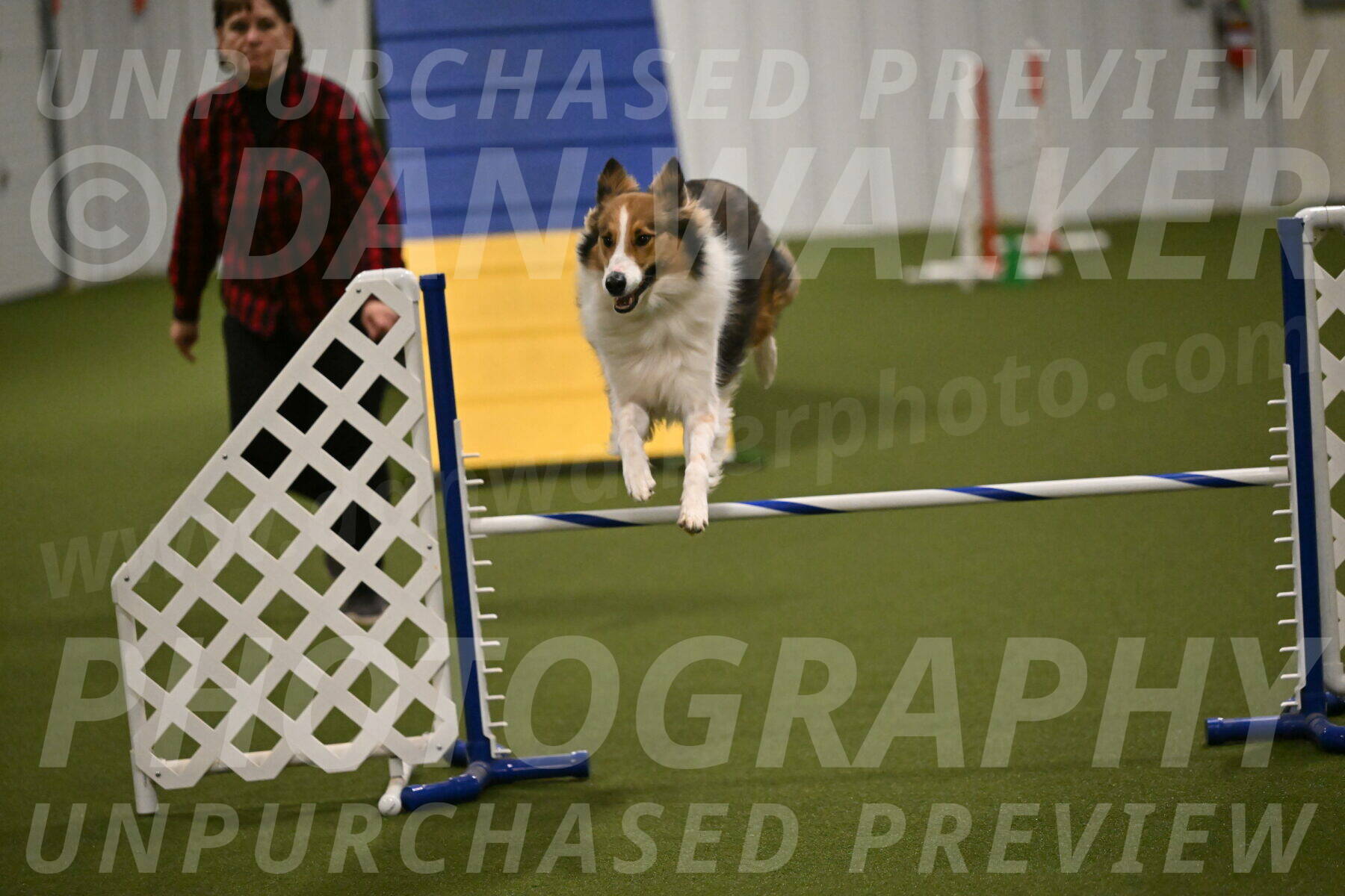 Timber-Maggie-Paskawych-02518