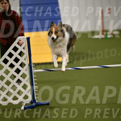 Timber-Maggie-Paskawych-02518