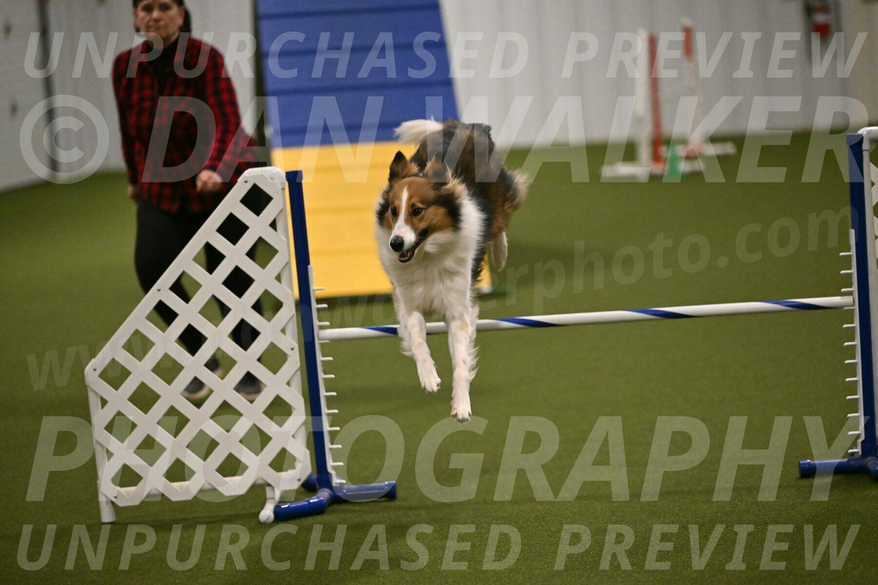 Timber-Maggie-Paskawych-02519