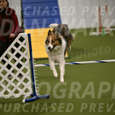 Timber-Maggie-Paskawych-02519