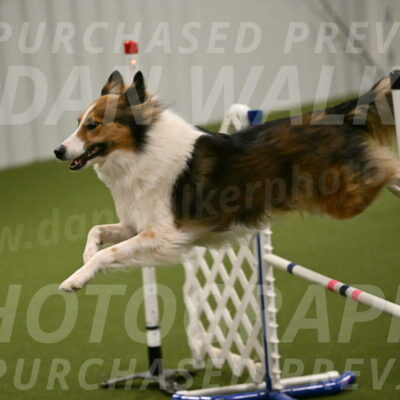 Timber-Maggie-Paskawych-02520