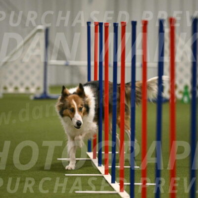 Timber-Maggie-Paskawych-02521