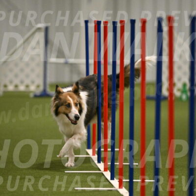 Timber-Maggie-Paskawych-02522