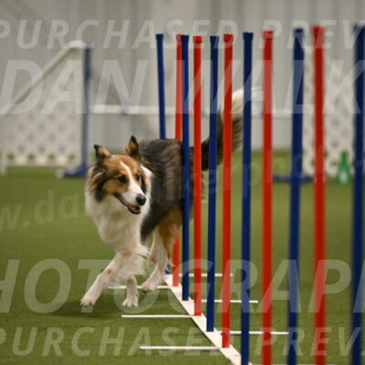 Timber-Maggie-Paskawych-02523