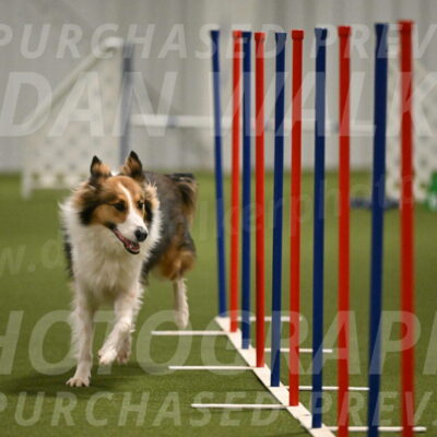 Timber-Maggie-Paskawych-02524