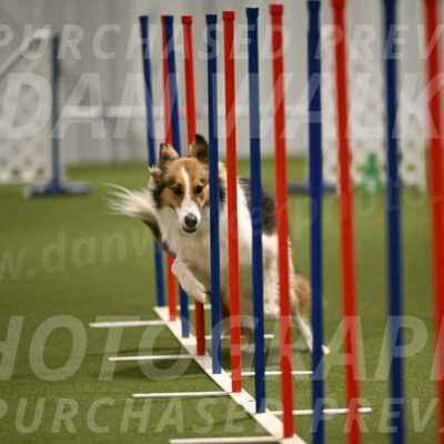 Timber-Maggie-Paskawych-02525