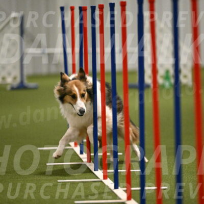 Timber-Maggie-Paskawych-02526