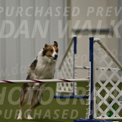 Timber-Maggie-Paskawych-02528