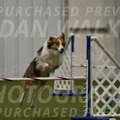 Timber-Maggie-Paskawych-02529