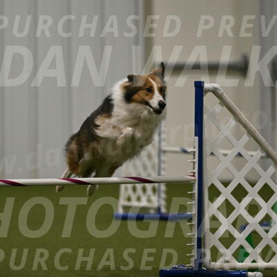 Timber-Maggie-Paskawych-02530