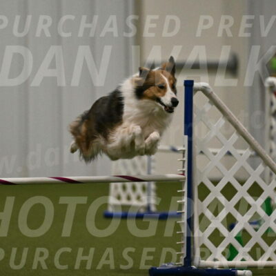 Timber-Maggie-Paskawych-02531