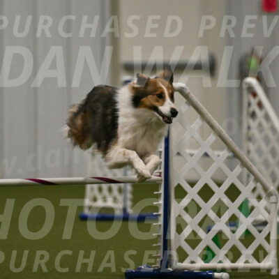 Timber-Maggie-Paskawych-02532