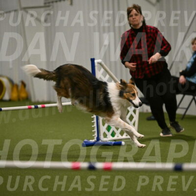 Timber-Maggie-Paskawych-02533