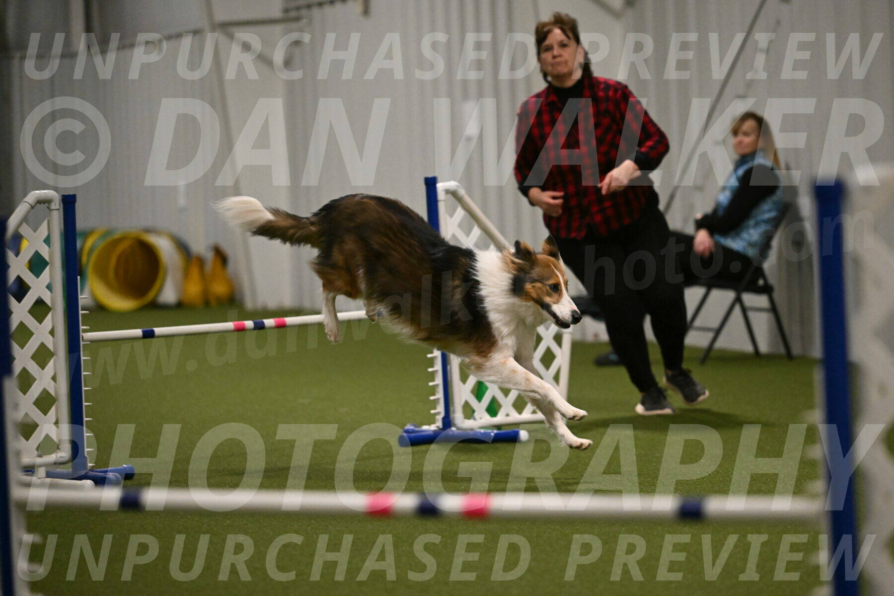 Timber-Maggie-Paskawych-02533