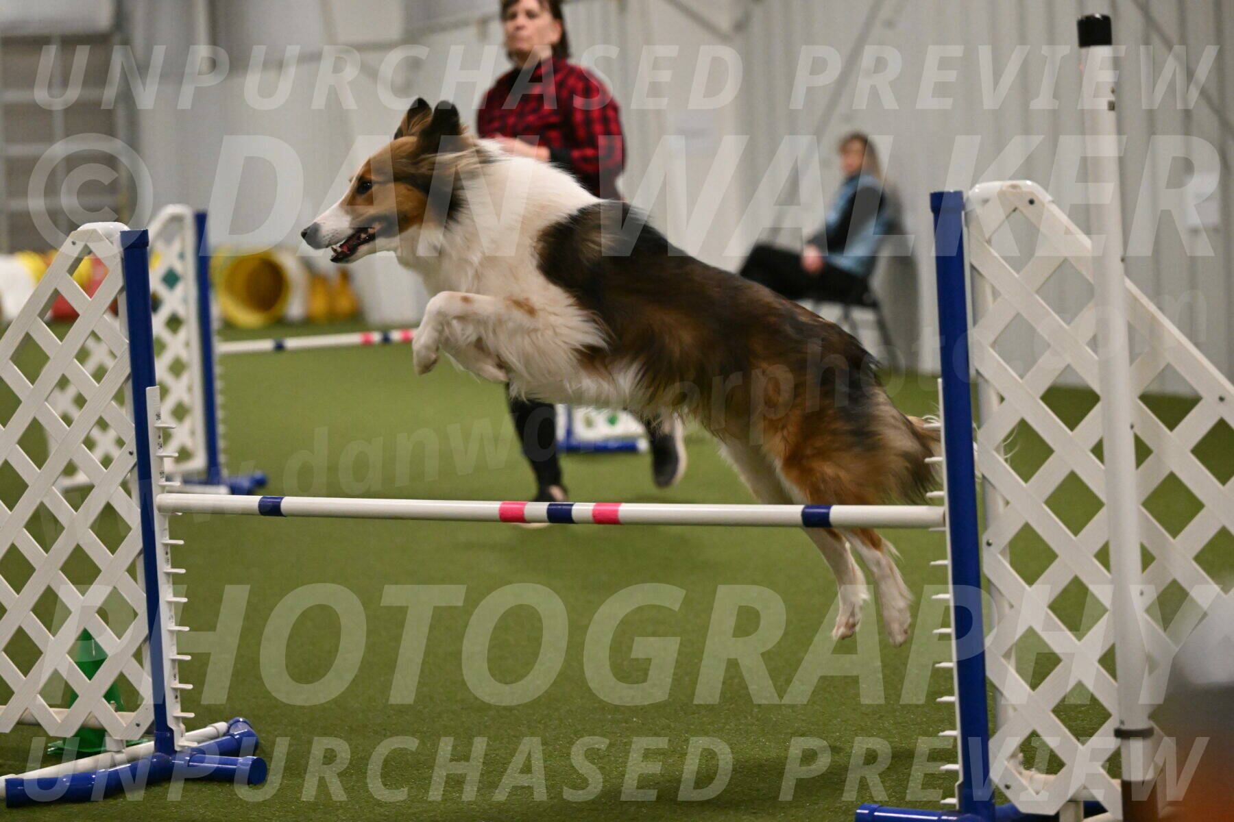 Timber-Maggie-Paskawych-02534