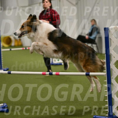 Timber-Maggie-Paskawych-02534