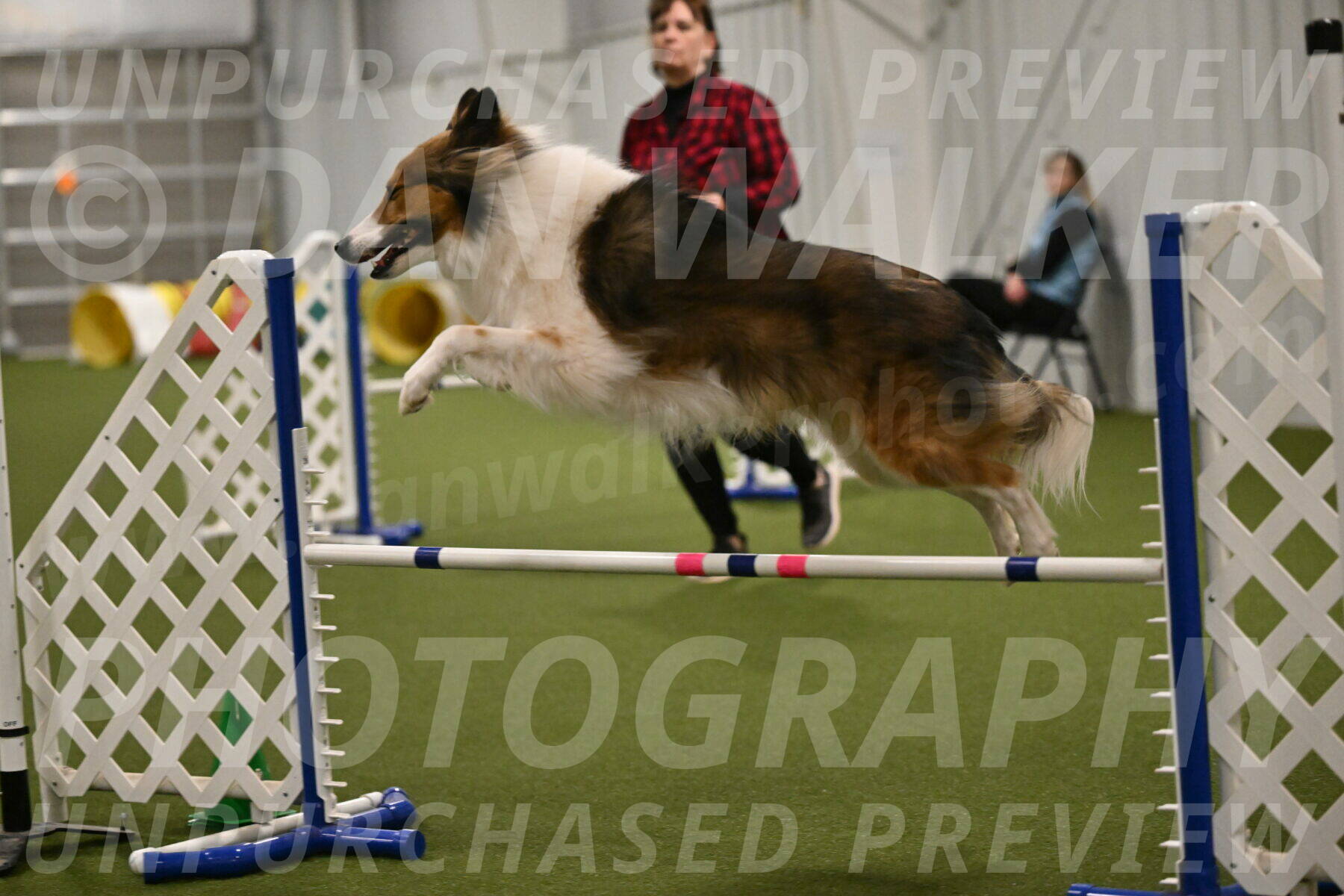 Timber-Maggie-Paskawych-02535