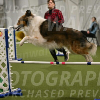 Timber-Maggie-Paskawych-02535