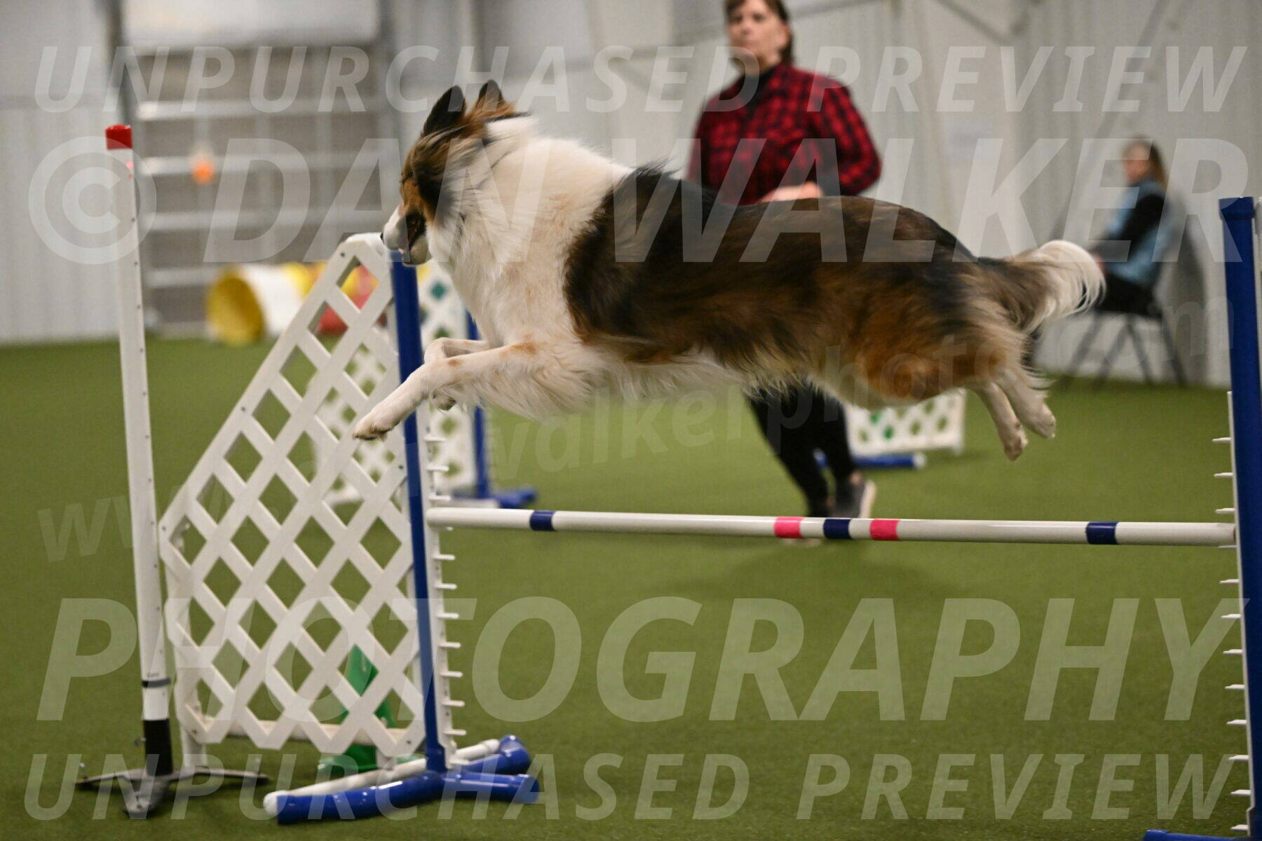 Timber-Maggie-Paskawych-02536