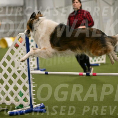 Timber-Maggie-Paskawych-02536