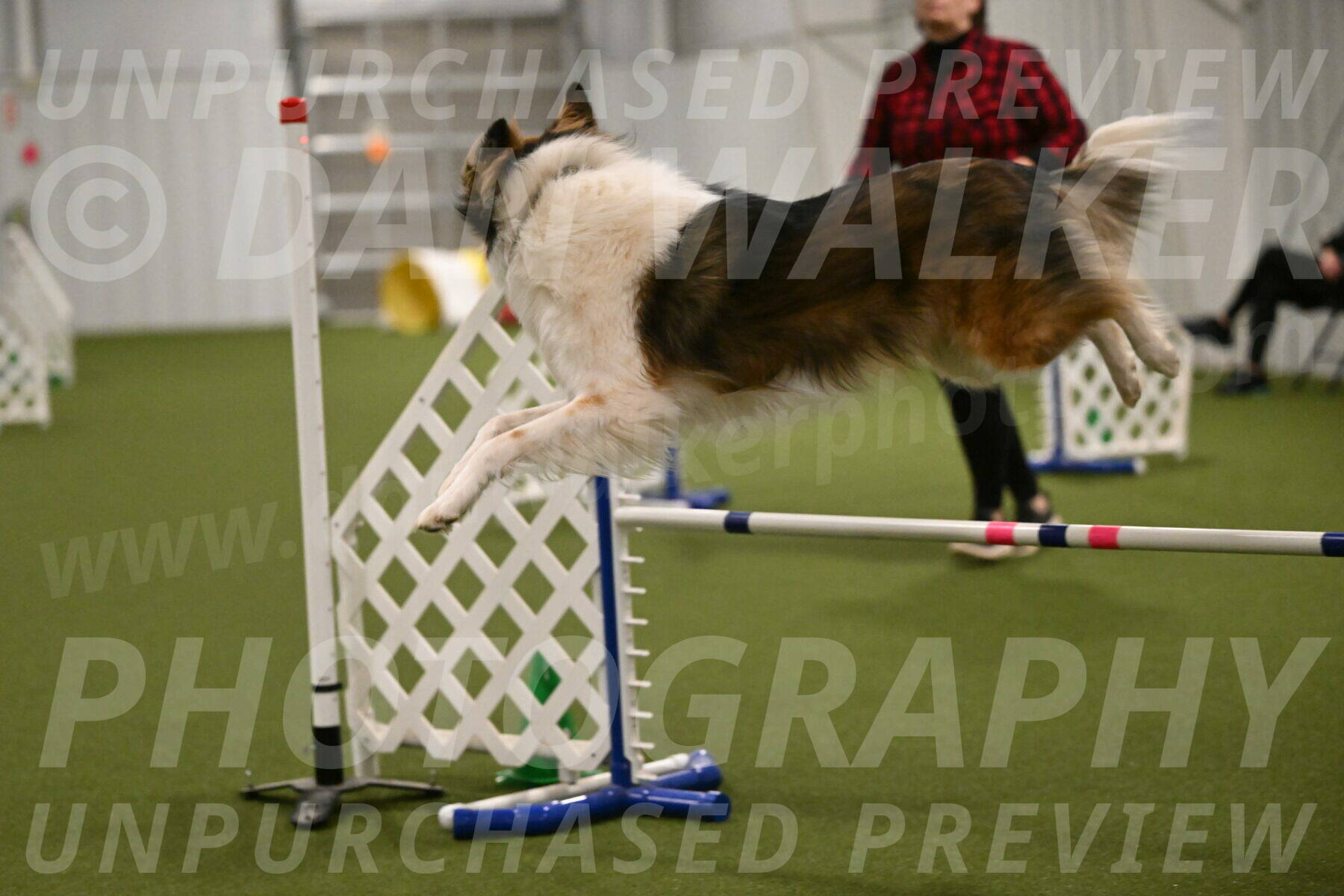 Timber-Maggie-Paskawych-02537