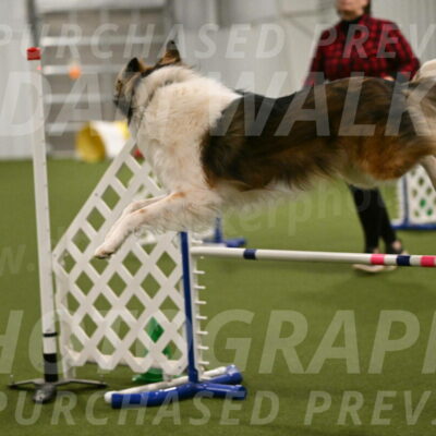 Timber-Maggie-Paskawych-02537