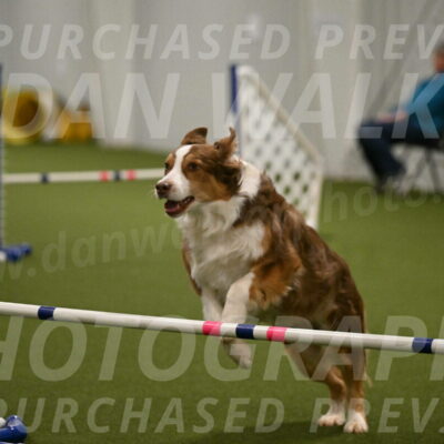 Tink-Yvette-Shipman-09674