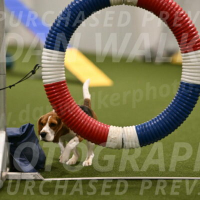 Tobie-Heather-Chambers-06008