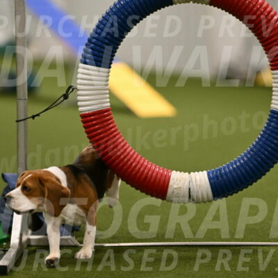 Tobie-Heather-Chambers-06009