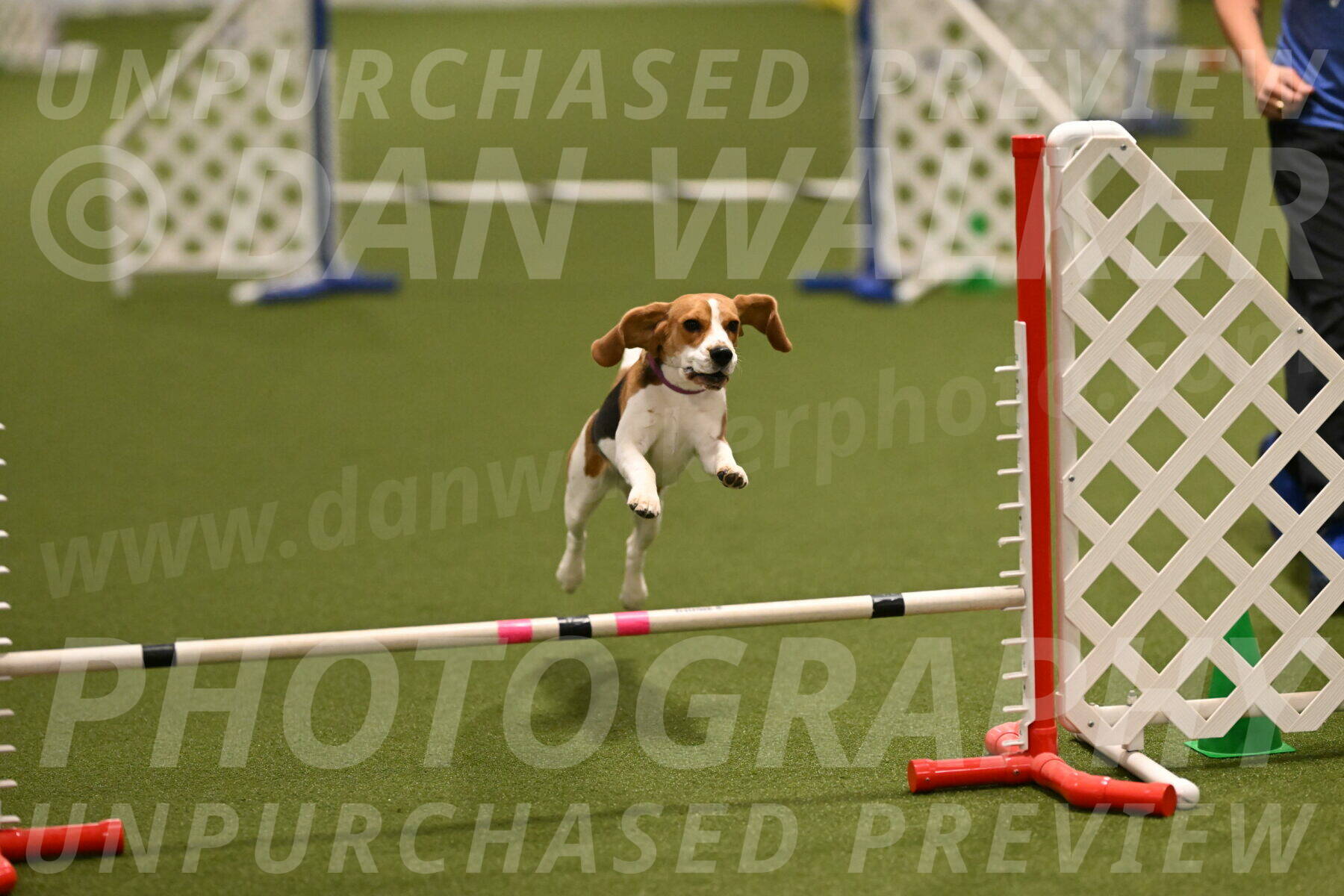 Tobie-Heather-Chambers-06016