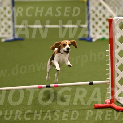 Tobie-Heather-Chambers-06016